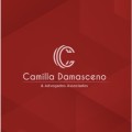 Camilla Damasceno & Advogados Associados, Escritório de Advocacia e Correspondente Jurídico em Belém, PA