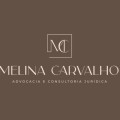 Melina Carvalho Assessoria e Consultoria Jurídica, Advogado e Correspondente Jurídico em Porto Alegre, RS