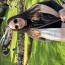 Foto de Perfil do Profissional