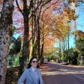 Rafaella Chaves Rafaella Chaves, Advogado e Correspondente Jurídico em Maceió, AL